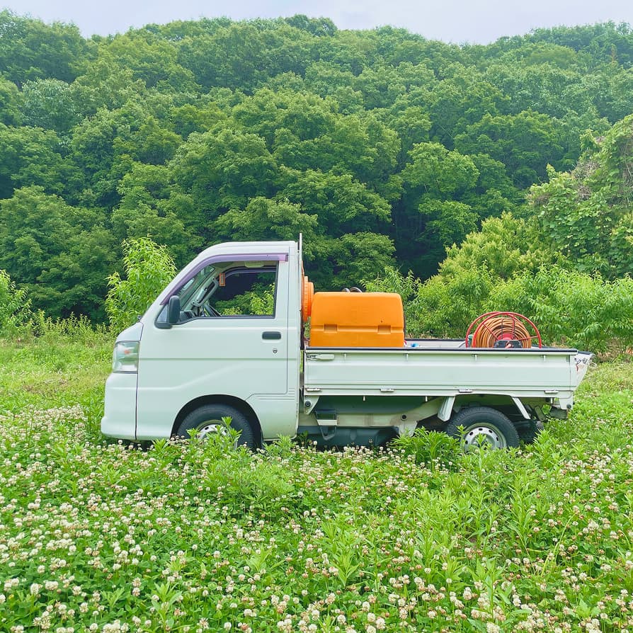 桃湖園 代表 森本達哉